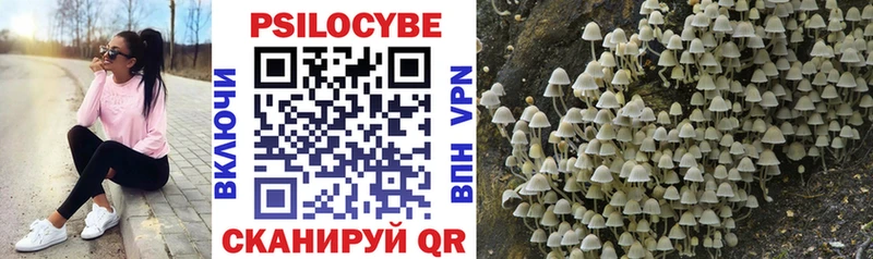 даркнет сайт  Бавлы  Псилоцибиновые грибы Magic Shrooms 