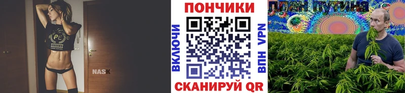 Бошки марихуана Bruce Banner  Бавлы 